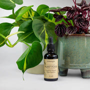 Organic Plant Food - Nourishment for a Healthy Growth