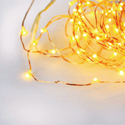 Copper String Fairy Lights (100 Bulb)