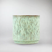 Light Green Ceramic Pot 'Lichen' - Subtle Elegance