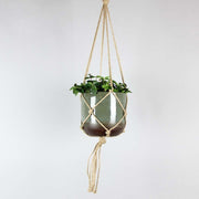 Macrame Plant Hanger 'Natural' | Brown Rope