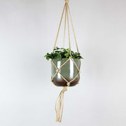 Macrame Plant Hanger | Brown Rope - Bloombox Club