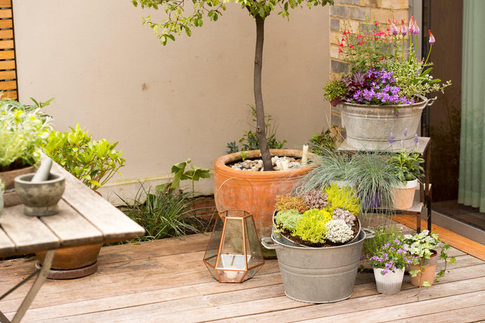 Short on Space? Transform Your Small Garden in 4 Short Steps