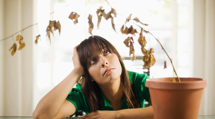 5 Reasons Your Plants Aren't Growing