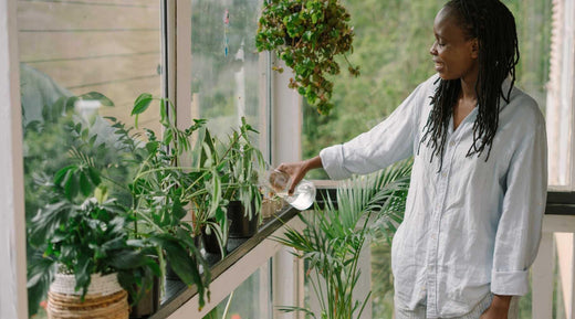 7 Reasons You Need Plants In Your Life