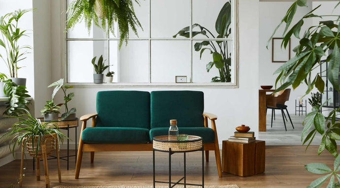 Designing Tips To Brighten Your Space With Plant Styling