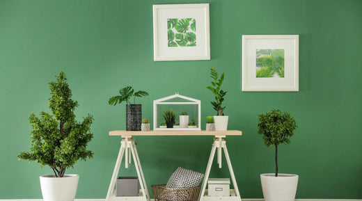 7 Different Types Of Money Plants For Your Home