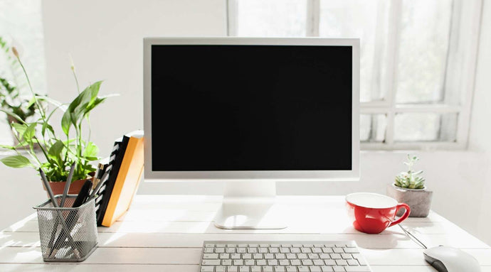 Pros of Having Office Plants in the Workspace