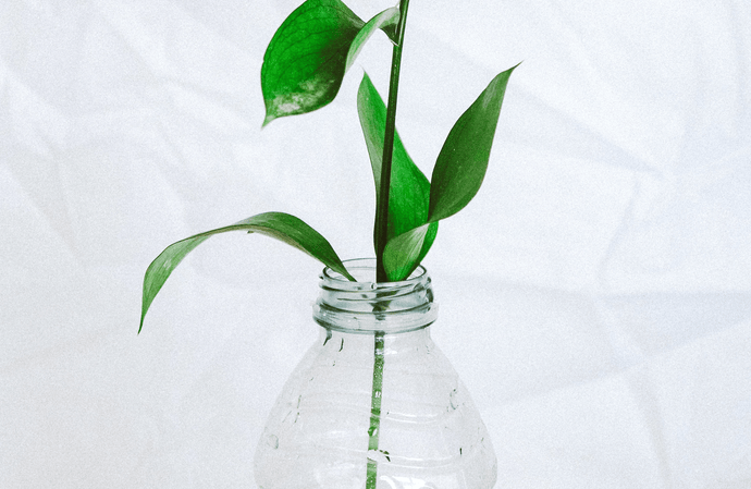 What is Greenwashing?