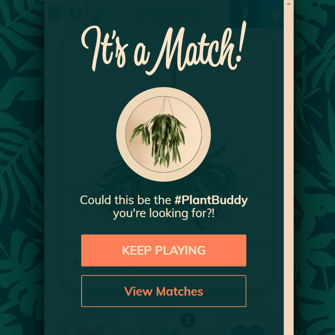 Your plant match is waiting