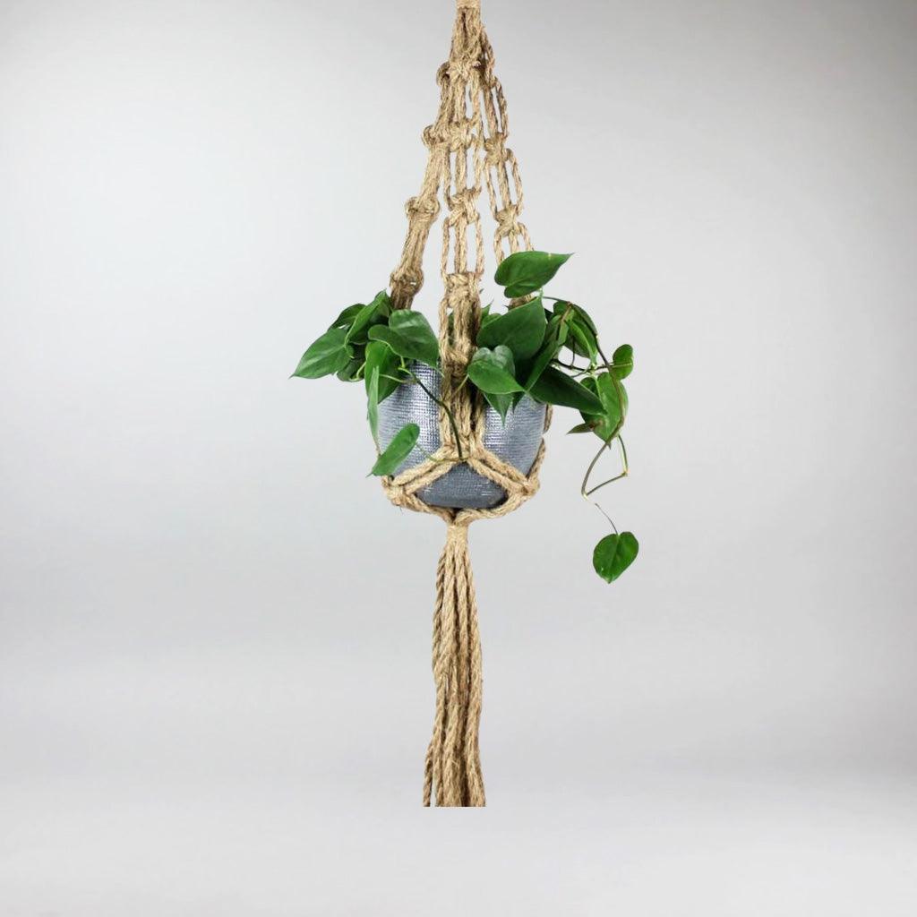 bohemian macrame plant hanger Boho Macramé Plant Hangers: Elevate Your Décor – Bloombox Club