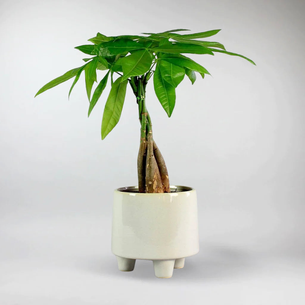 three legged plant pot Troika Plant Pot
