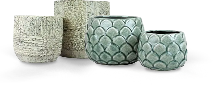 Patterned Plant Pots – Bloombox Club