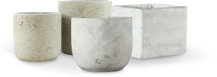 Rustic Plant Pots – Bloombox Club