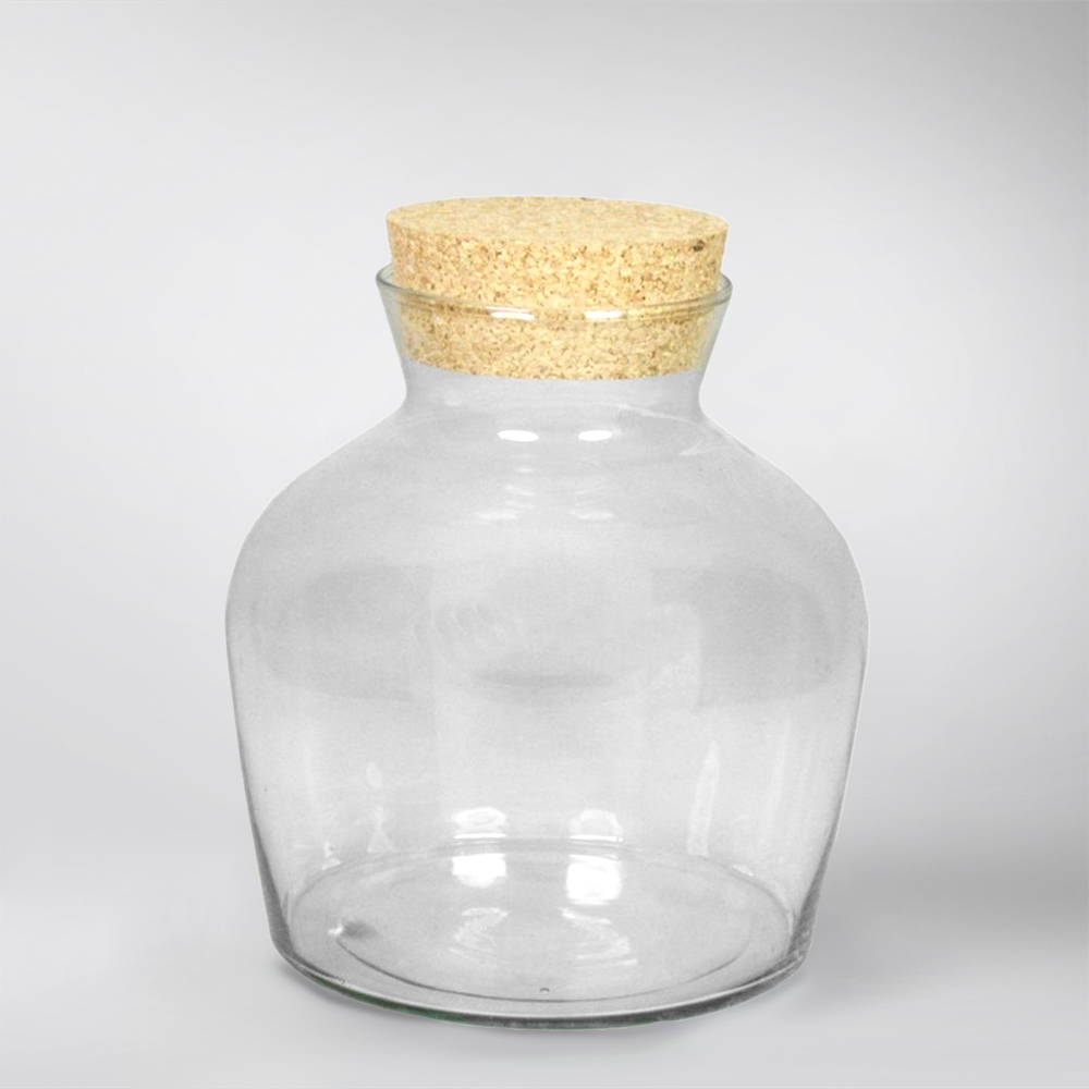 Terrarium Glass 30cm 'Dean' with Cork Lid
