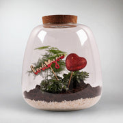 Kit terrarium plantes bonbonne mix m (23 x 41 cm) FLOWERBOX 47366