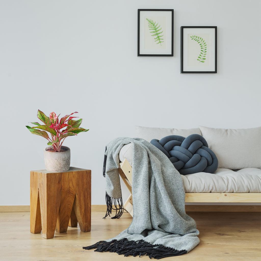 aglaonema living room Aglaonema Crete