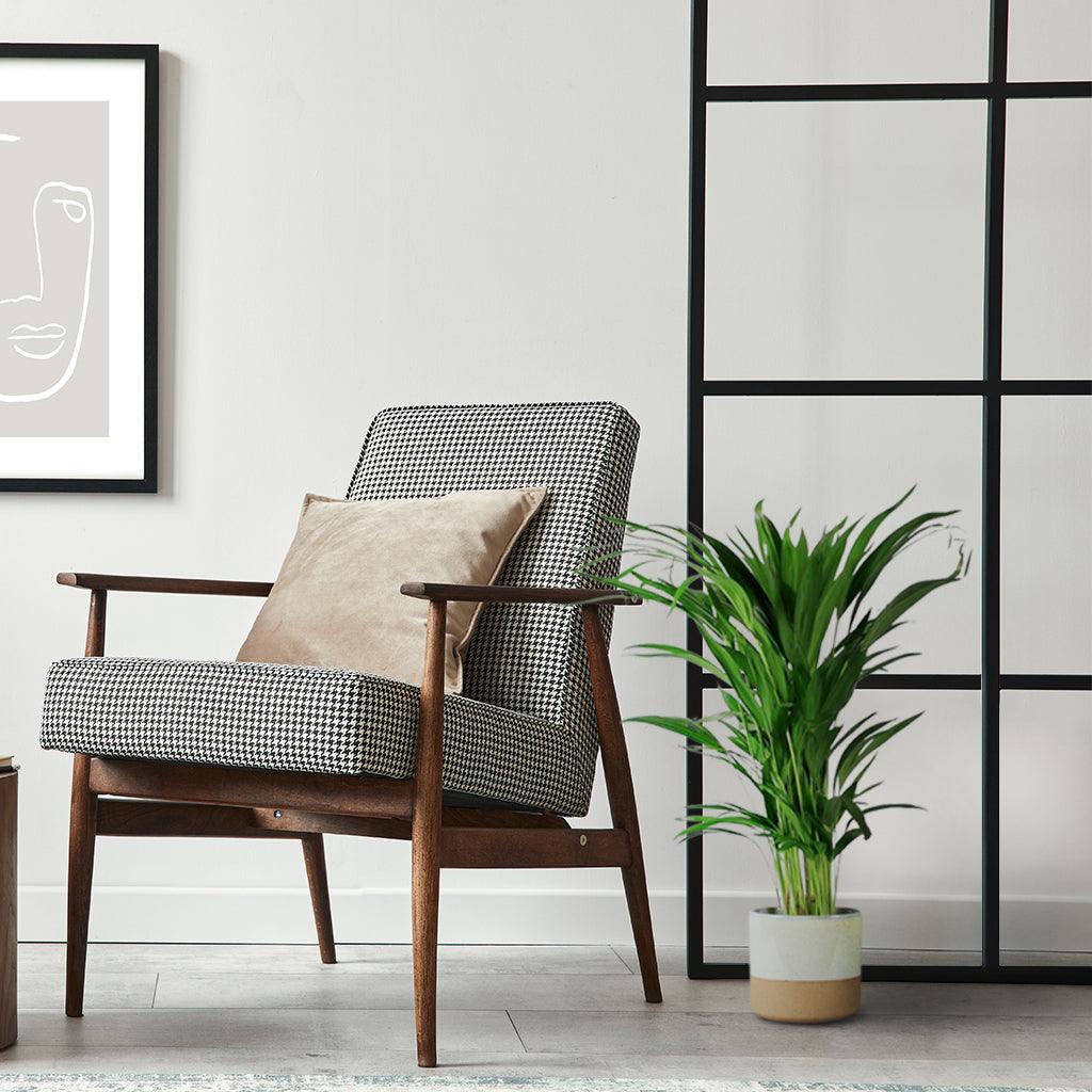 areca palm ikea Areca Palm – Elegant, Air-Purifying Indoor Palm for Your Home – Bloombox Club