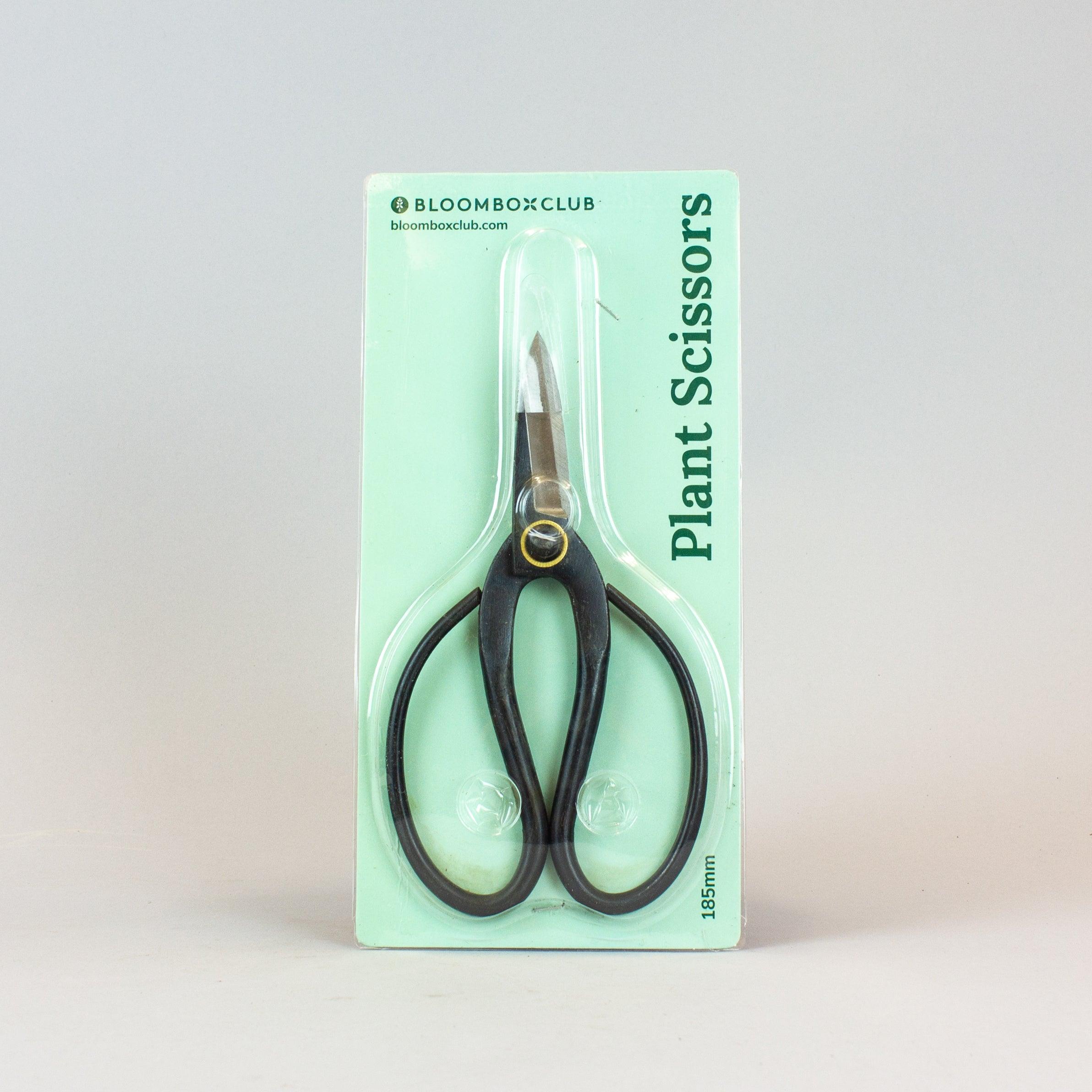 succulent scissors Garden Scissors: Precision Trimming for Thriving Plants – Bloombox Club