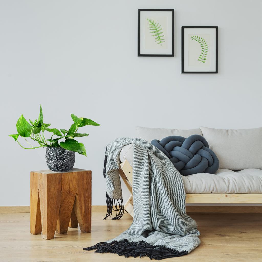pothos living room Golden Pothos (Epipremnum Aureum) – Easy-Care Air-Purifying Plant – Bloombox Club