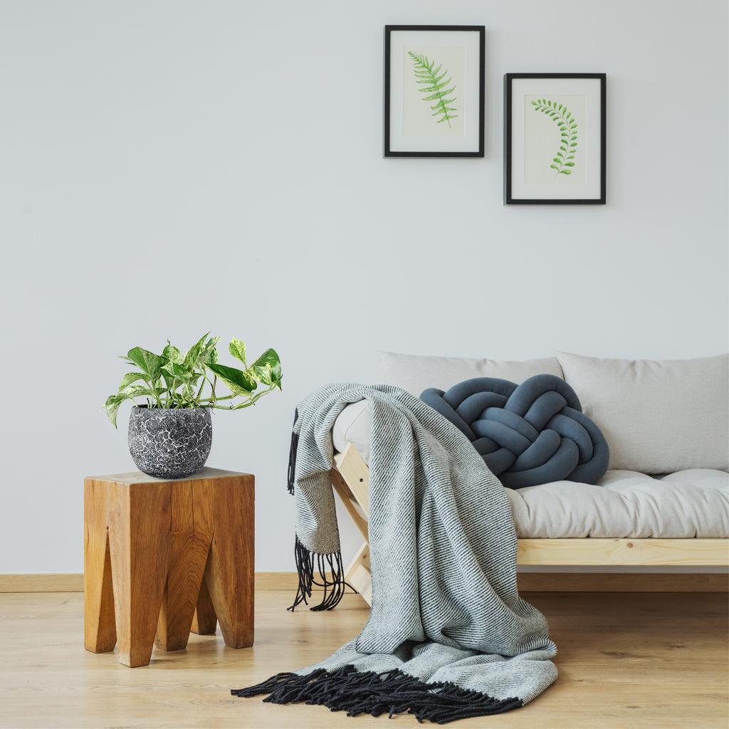 marble queen pothos air purifier Marble Queen Pothos (Epipremnum aureum) – Elegant Air-Purifying Plant – Bloombox Club