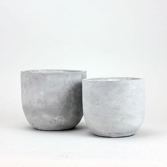 Rock Cement Pot Elegant Cement Pot for Vibrant Plants Bloombox Club